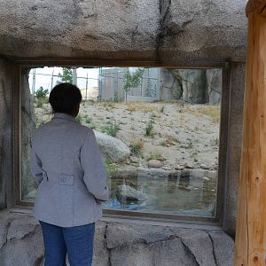 California Living Museum - Cats of California