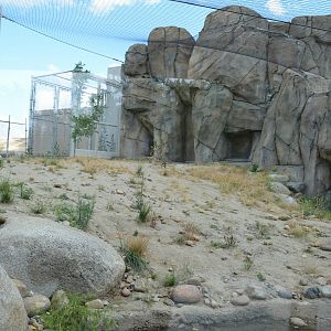 California Living Museum - Bobcat Habitat