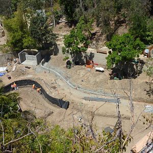 Panda Trek Construction