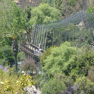 Birds of Prey Exhibits