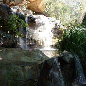 Aviary Waterfall