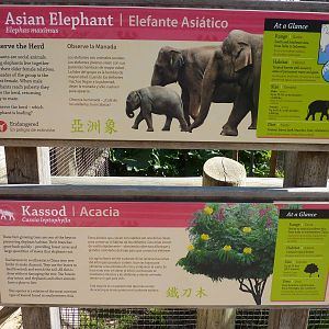 Elephants of Asia Signage