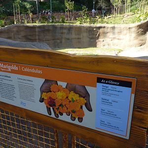 Elephants of Asia Signage