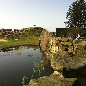 Patagonia at Emmen Zoo - April 2011