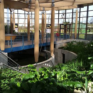 Educational Exhibit at Emmen Zoo - April 2011