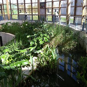 Educational Exhibit at Emmen Zoo - April 2011