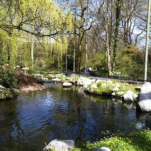 General View at Emmen Zoo - April 2011