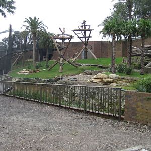 Renovations in the Chimpanzeee Park