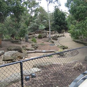 Macropod walkthrough viewed from the new entry precinct