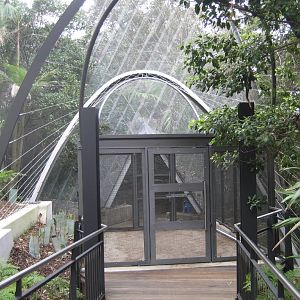 New doors on the Rainforest Aviary