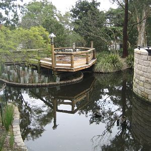 Waterfowl Ponds viewed from inside the new Entry precinct