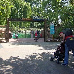 Penguin Beach - ZSL - June 1 2011