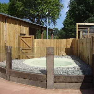 Penguin Beach - View of penguin rearing area.