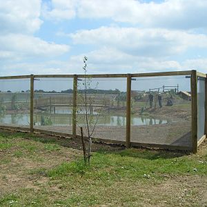 South American Viva!