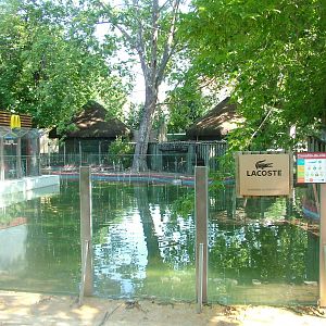 McCrocodile Exhibit at Lisbon Zoo, 24/05/11