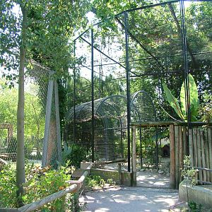 Asian Aviary at Lisbon Zoo, 24/05/11