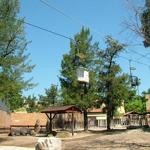 Indian Rhino Paddock at Lisbon Zoo, 24/05/11