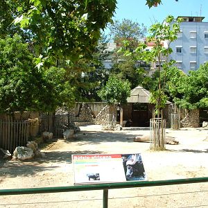 Cape Buffalo Paddock at Lisbon Zoo, 24/05/11