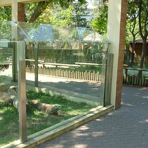 Reptile Exhibits at Lisbon Zoo, 24/05/11