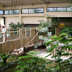 Alligator Exhibit at Lisbon Zoo, 24/05/11