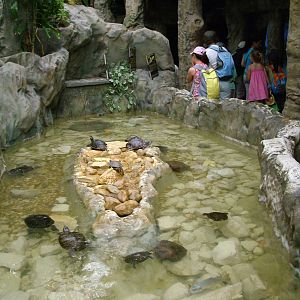 Reptile House at Lisbon Zoo, 24/05/11