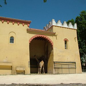 Giraffe Exhibit at Lisbon Zoo, 24/05/11