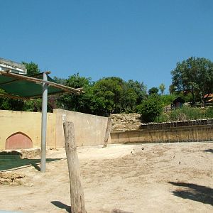 African Elephant Paddock 2 at Lisbon Zoo, 24/05/11