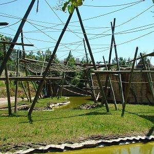 Orang/Gibbon Exhibit at Lisbon Zoo, 24/05/11