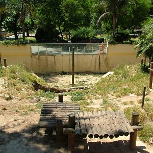 Lion Exhibit at Lisbon Zoo, 24/05/11