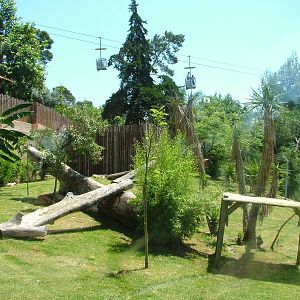 Cheetah Paddock at Lisbon Zoo, 24/05/11