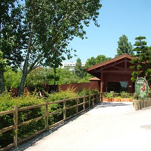 Okapi Stabling at Lisbon Zoo, 24/05/11