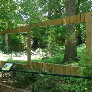 Giant anteater exhibit