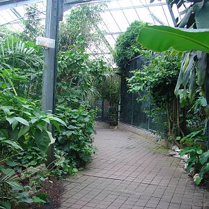 Tropical birds house