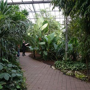 Tropical birds house