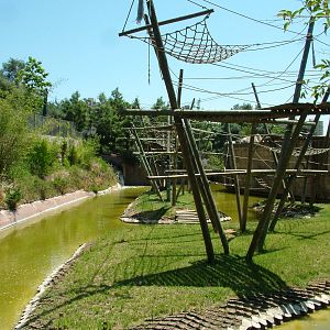 Orang and Gibbon Exhibit at Lisbon Zoo, 24/05/11