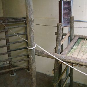 Indoor Orang Quarters at Lisbon Zoo, 24/05/11