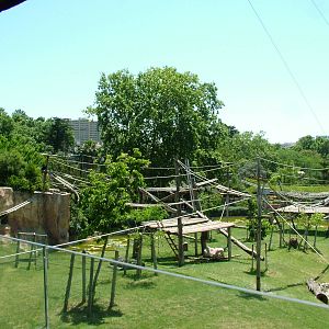 Gorilla Exhibit at Lisbon Zoo, 24/05/11