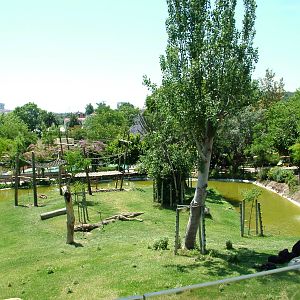 Chimpanzee Exhibit at Lisbon Zoo, 24/05/11