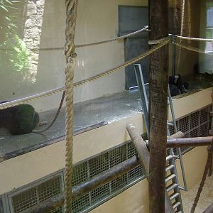 Gorilla Indoor Quarters at Lisbon Zoo, 24/05/11