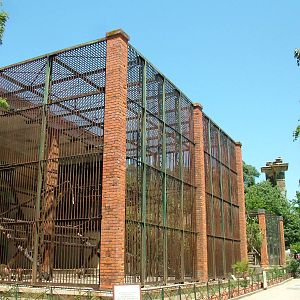 Baboon Exhibit at Lisbon Zoo, 24/05/11
