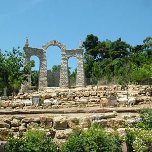 Addax and Barbary Sheep Exhibit at Lisbon Zoo, 24/05/11