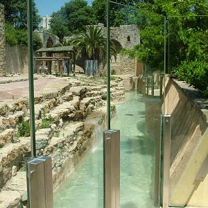Bear Exhibit at Lisbon Zoo, 24/05/11