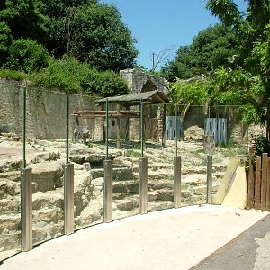 Bear Exhibit at Lisbon Zoo, 24/05/11