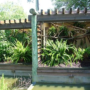 Callitrichid Exhibits at Lisbon Zoo, 24/05/11