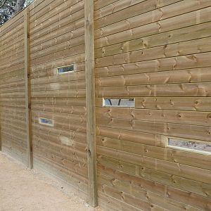 African wild dog exhibit