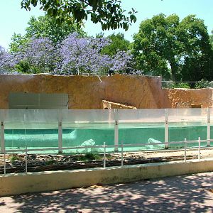 Penguin Exhibit at Lisbon Zoo, 24/05/11