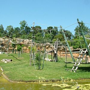 Gorilla and Colobus Exhibit at Lisbon Zoo, 24/05/11