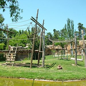 Chimpanzee Exhibit at Lisbon Zoo, 24/05/11