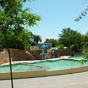 Pinniped Exhibit at Lisbon Zoo, 24/05/11