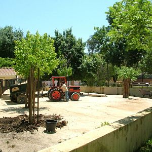 Gemsbok Paddock Resurfacing at Lisbon Zoo, 24/05/11